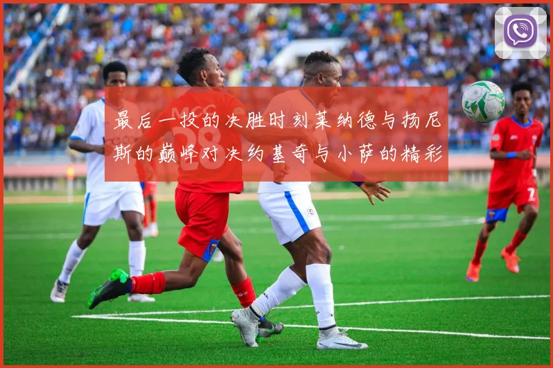 最后一投的决胜时刻莱纳德与扬尼斯的巅峰对决约基奇与小萨的精彩较量