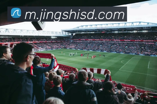 九游app官方网站APP 封面图