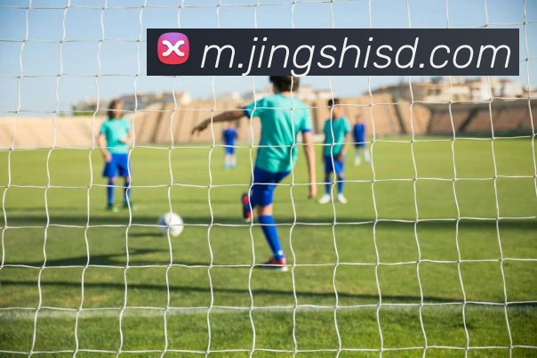 数据防护可视化